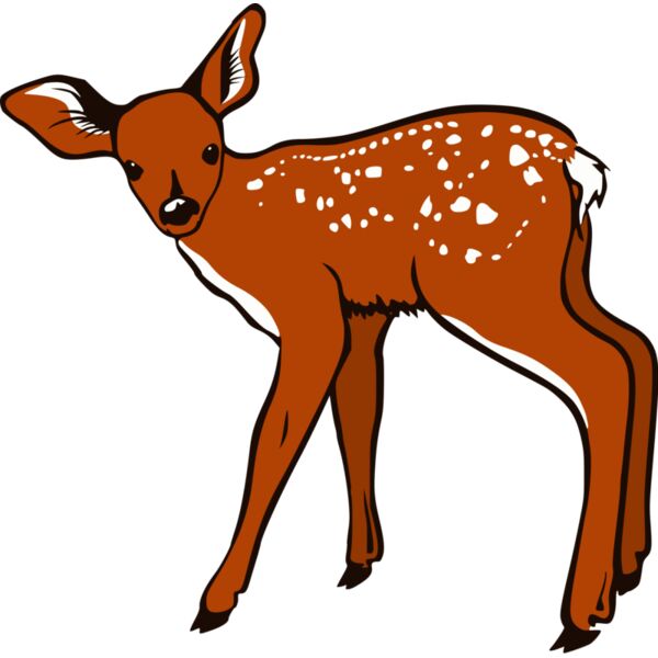 Fawn Thumbnail