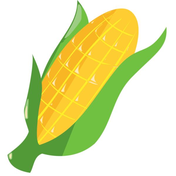 Corn Thumbnail