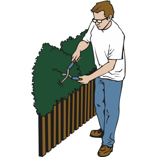 landscapeD30 Thumbnail