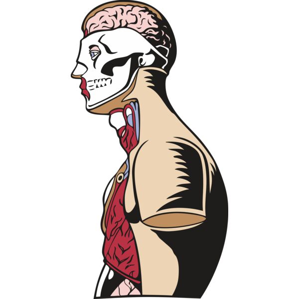 medicalj021 Thumbnail