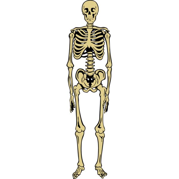 Skeletonj020 eps Thumbnail