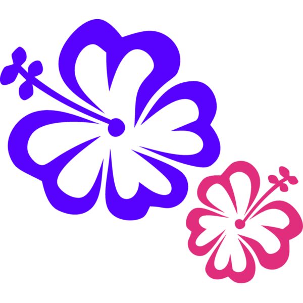 HIBISCUS2 eps Thumbnail