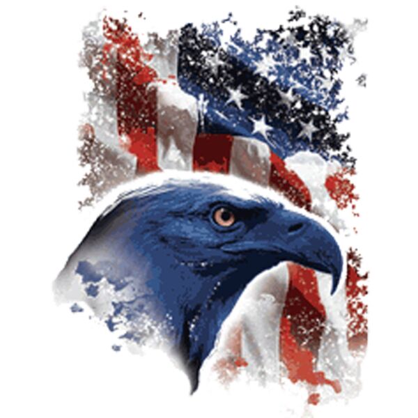 American Eagle Thumbnail