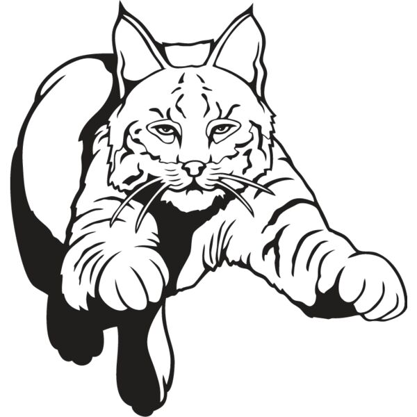 Bobcat1 Thumbnail