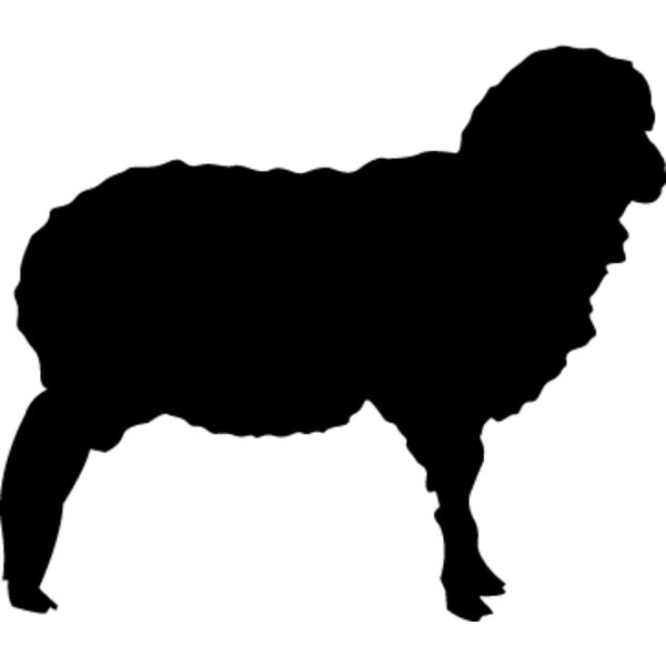 Sheep5 Thumbnail