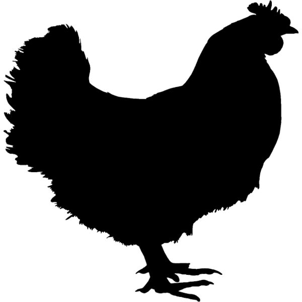 Chicken7 Thumbnail