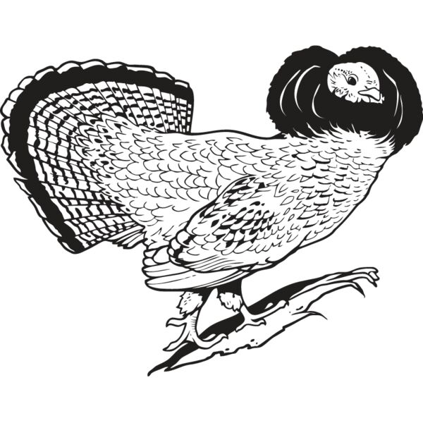 Grouse Thumbnail