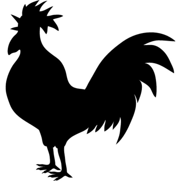 Rooster8 Thumbnail