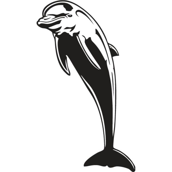Dolphin2 Thumbnail
