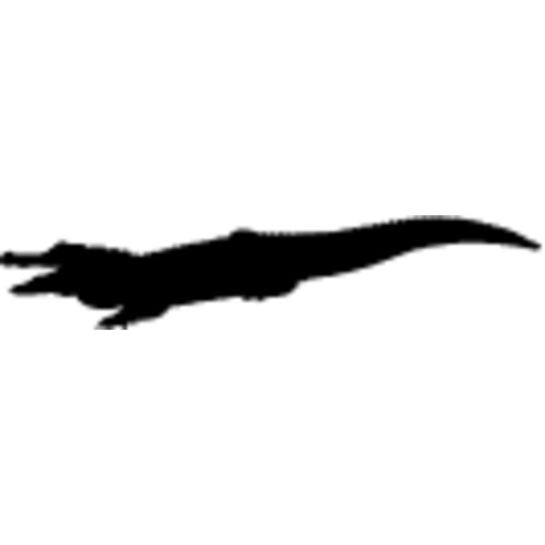 Alligator2 Thumbnail