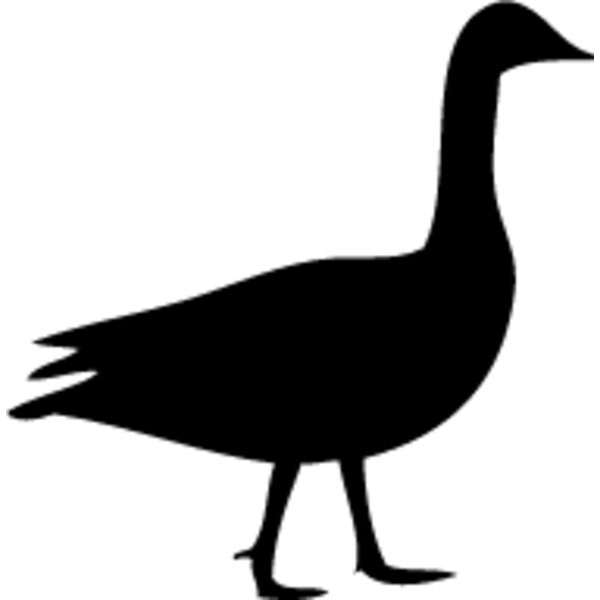 Duck6 Thumbnail