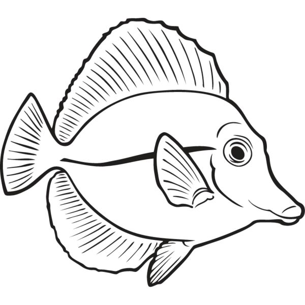 Tang Fish Thumbnail