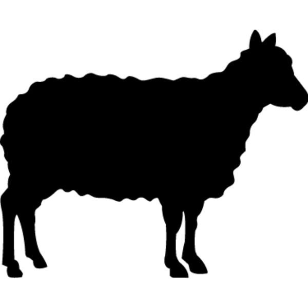 Sheep6 Thumbnail