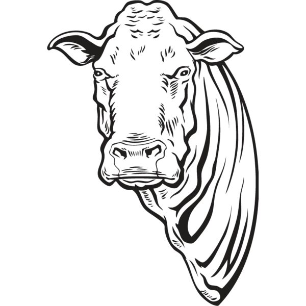 Cow2 Thumbnail