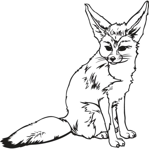 Fox1 Thumbnail