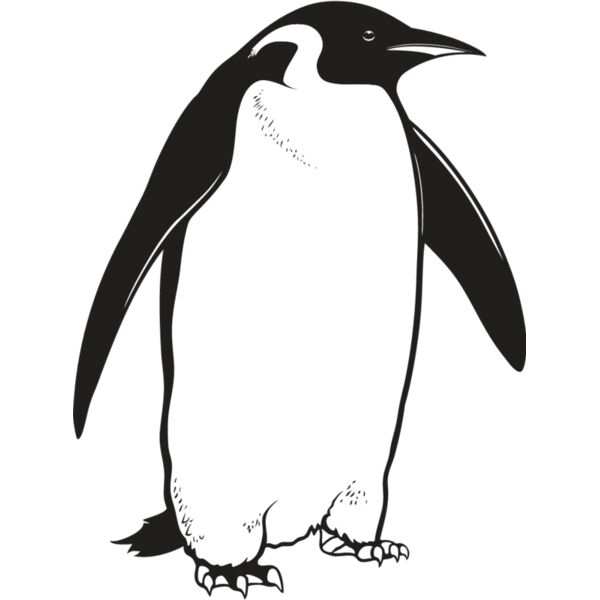 Penguin3 Thumbnail