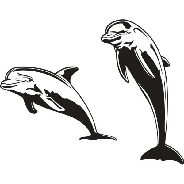Dolphins Thumbnail