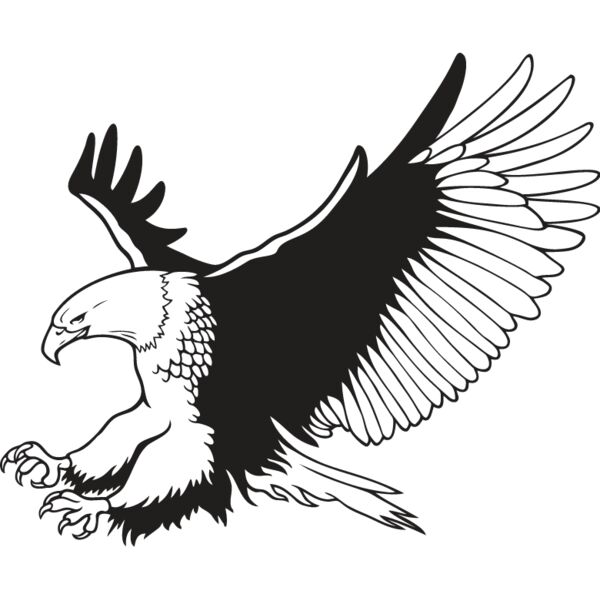 Eagle4 Thumbnail