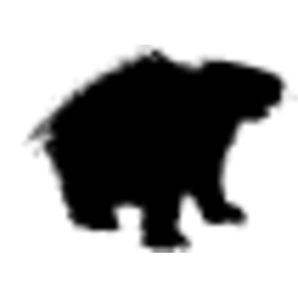 Porcupine2 Thumbnail