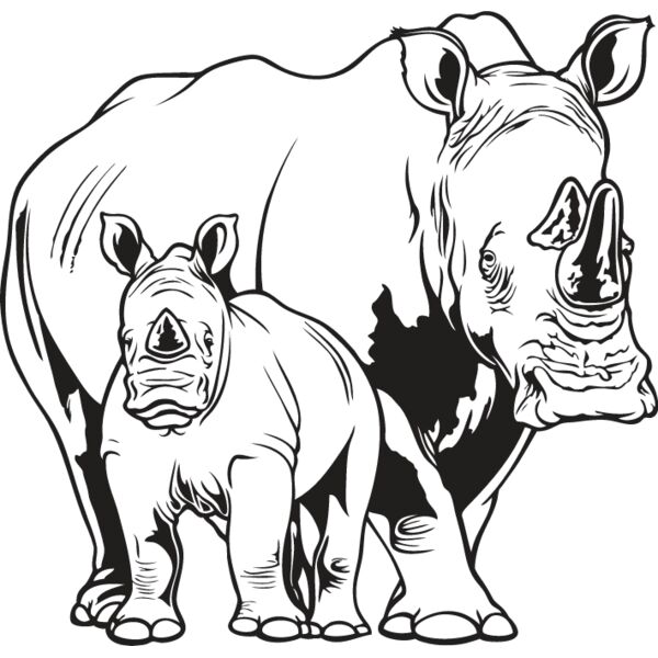 Rhinoceros2 Thumbnail