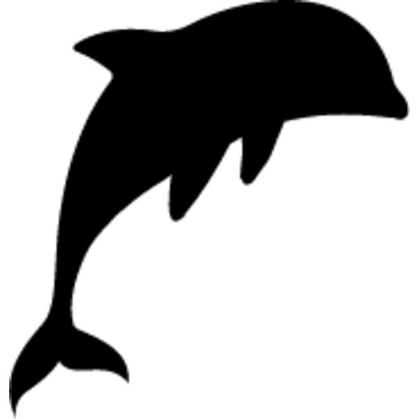 Dolphin6 Thumbnail