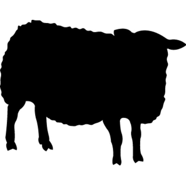 Sheep4 Thumbnail