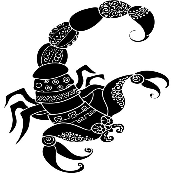 Scorpion1 Thumbnail