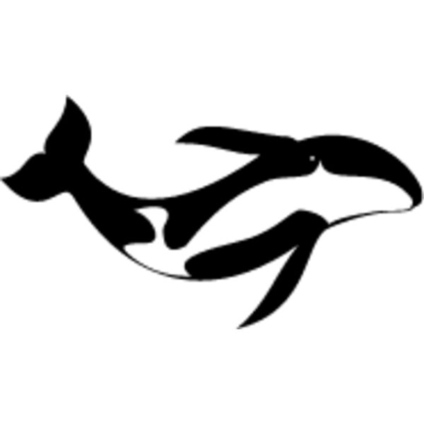 Killer Whale3 Thumbnail