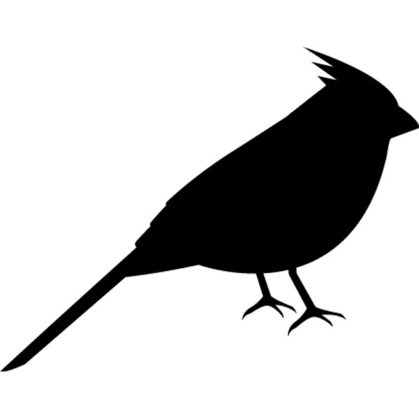 Bird Silhouette13 Thumbnail