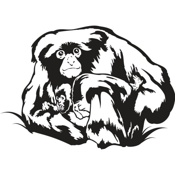 Monkey4 Thumbnail