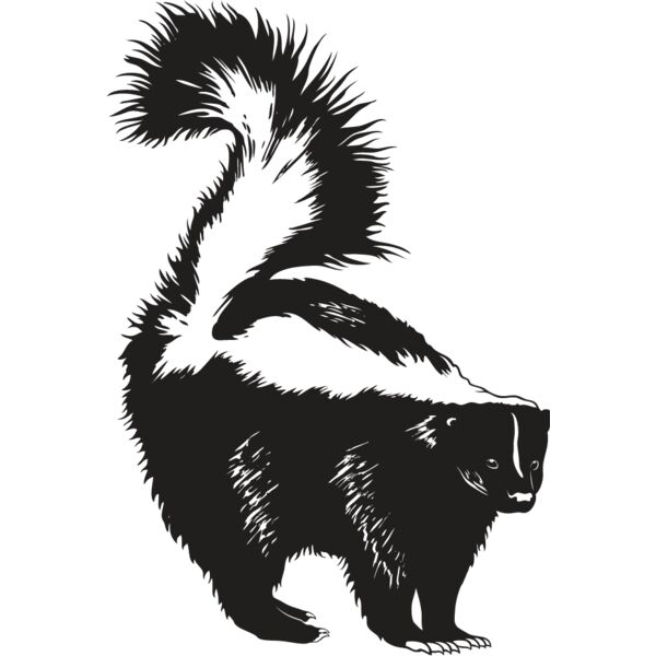 Skunk1 Thumbnail