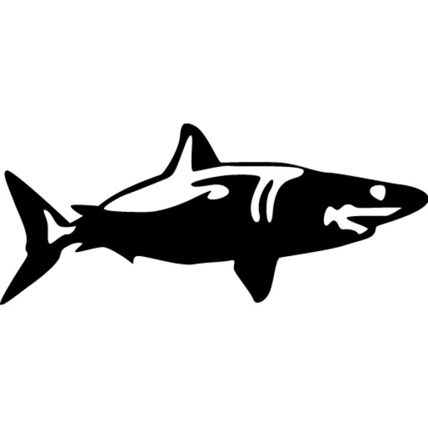 Shark4 Thumbnail