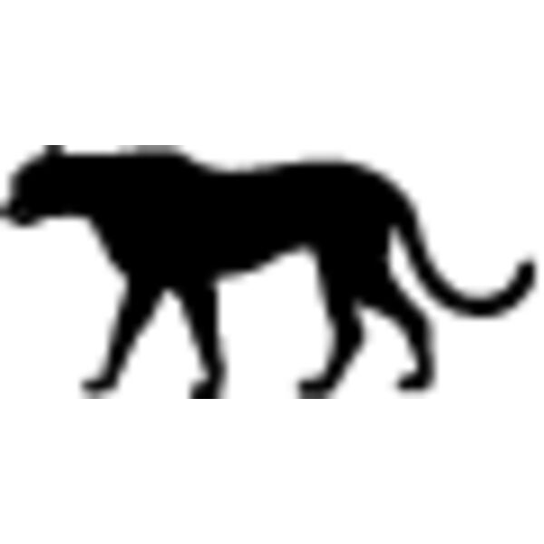 Cheetah2 Thumbnail