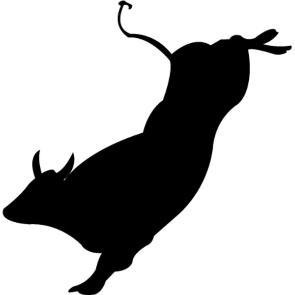 Bull13 Thumbnail