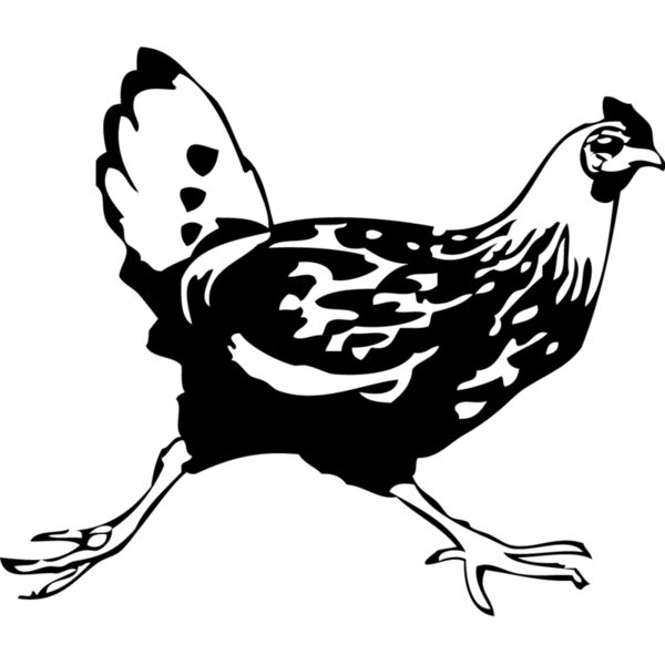 Chicken3 Thumbnail