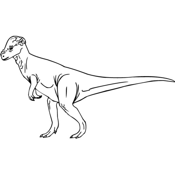 Pachycephalosaurus Thumbnail