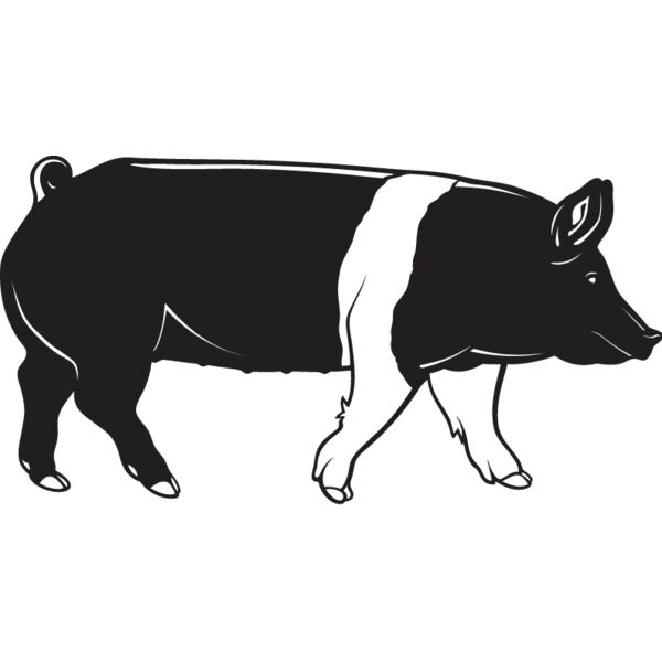 Pig1 Thumbnail