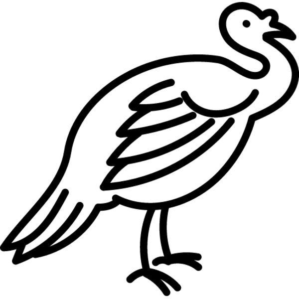 Wild Turkey Line 3 Thumbnail