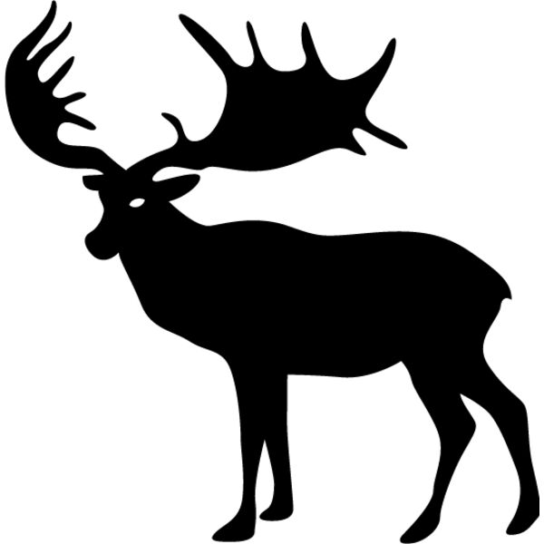 Moose3 Thumbnail