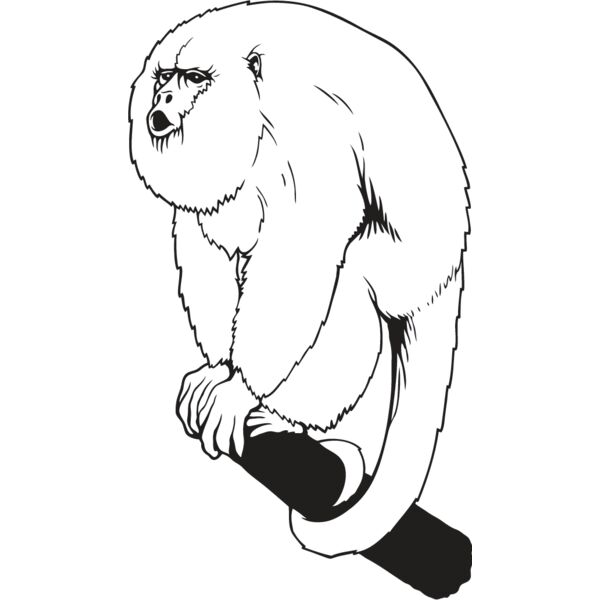Monkey2 Thumbnail