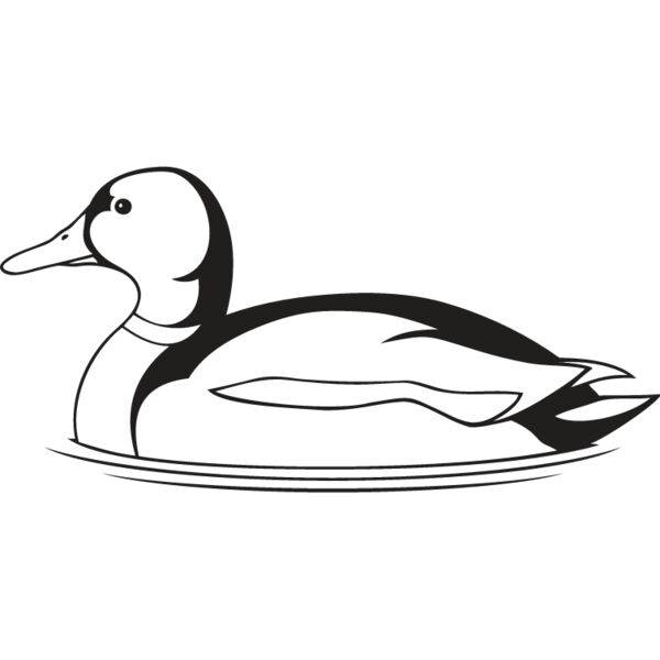 Duck3 Thumbnail