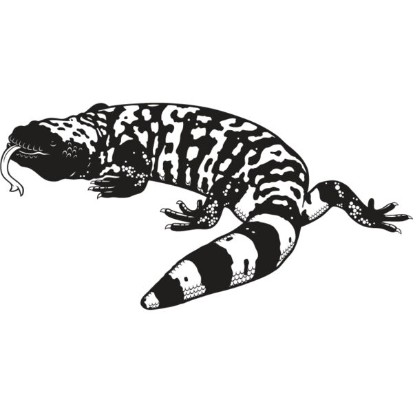 Gila Monster Thumbnail