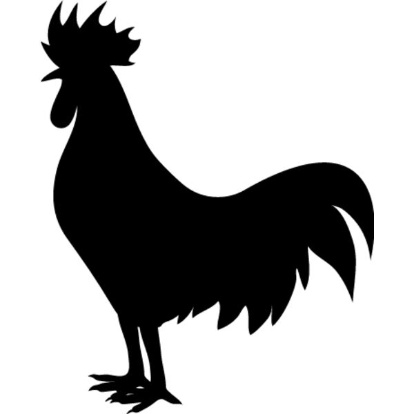 Rooster5 Thumbnail