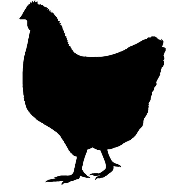 Chicken4 Thumbnail