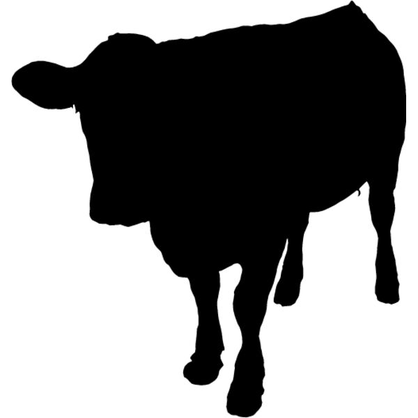 Cow11 Thumbnail