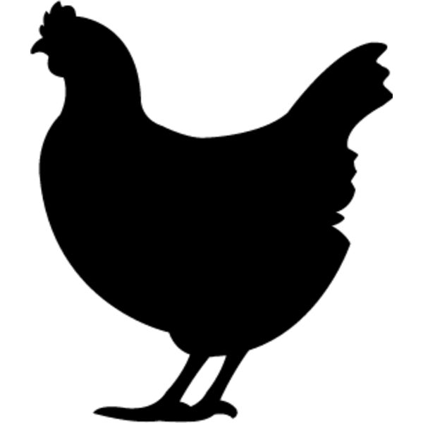 Chicken5 Thumbnail
