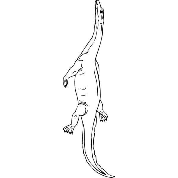 Nothosaurus Thumbnail