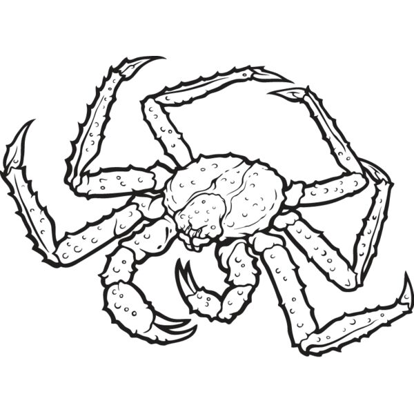 King Crab Thumbnail