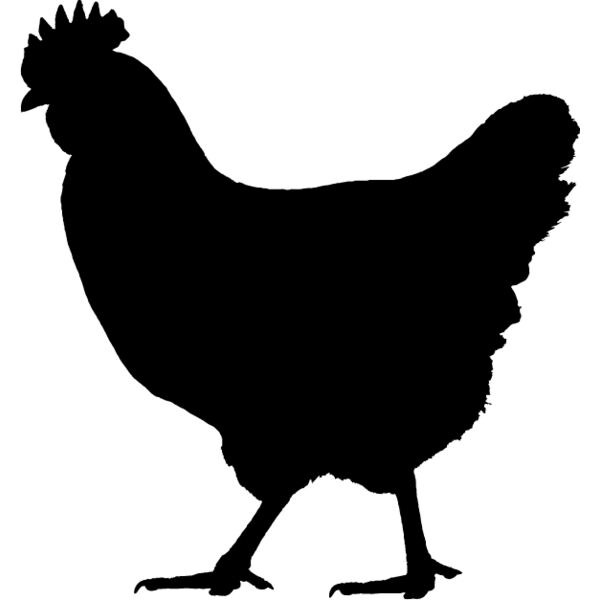 Chicken8 Thumbnail