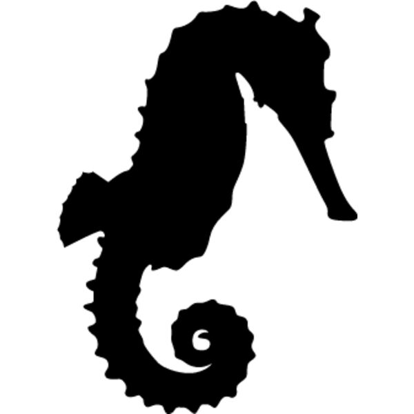 Seahorse4 Thumbnail